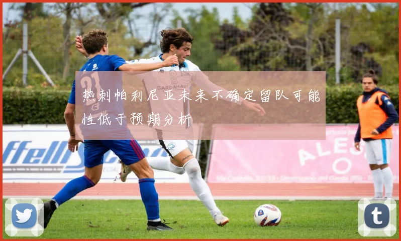 热刺帕利尼亚未来不确定留队可能性低于预期分析