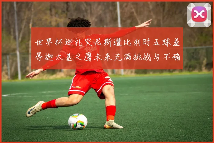 世界杯巡礼突尼斯遭比利时五球羞辱迦太基之鹰未来充满挑战与不确定性